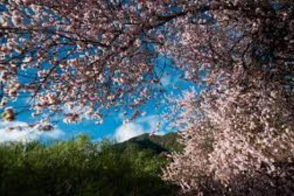 Casa Corea 2 ปุนตากอร์ดา ภายนอก รูปภาพ